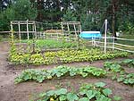 Bild 18